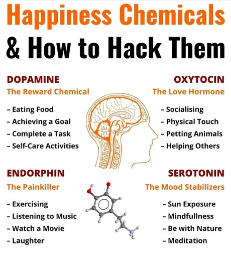Happyness chemicals & How to hack them.
