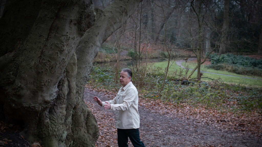 Lees meer over het artikel Ontdek de verborgen kracht van bomen