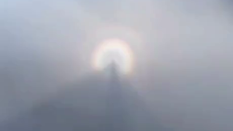 Lees meer over het artikel Heal met je handen