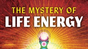 Lees meer over het artikel 6 snelle energie-gevers