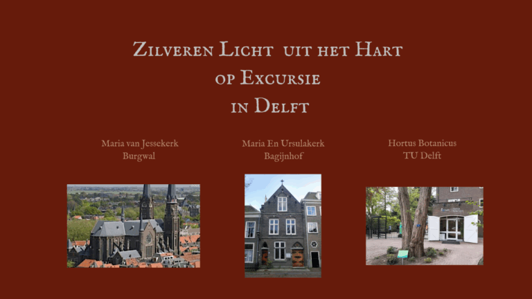 Lees meer over het artikel Zilveren licht uit het Hart Op Excursie