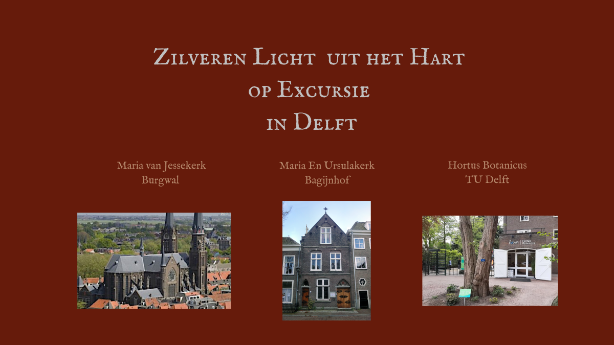 Je bekijkt nu Zilveren licht uit het Hart Op Excursie