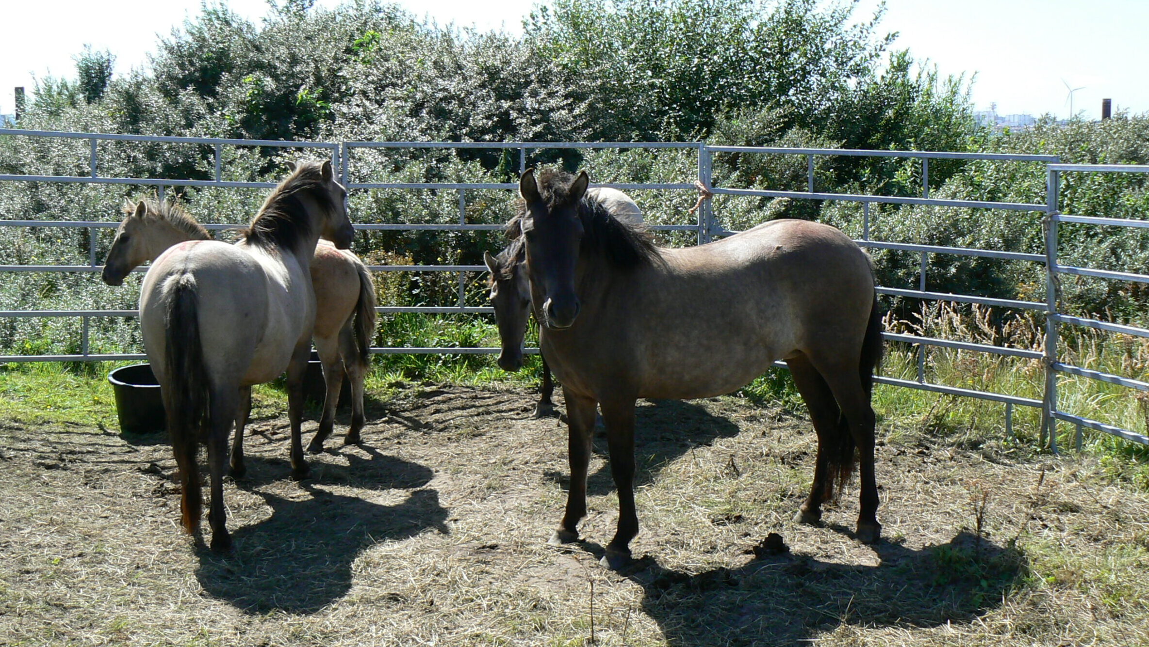 Hey wat doen jullie hier?