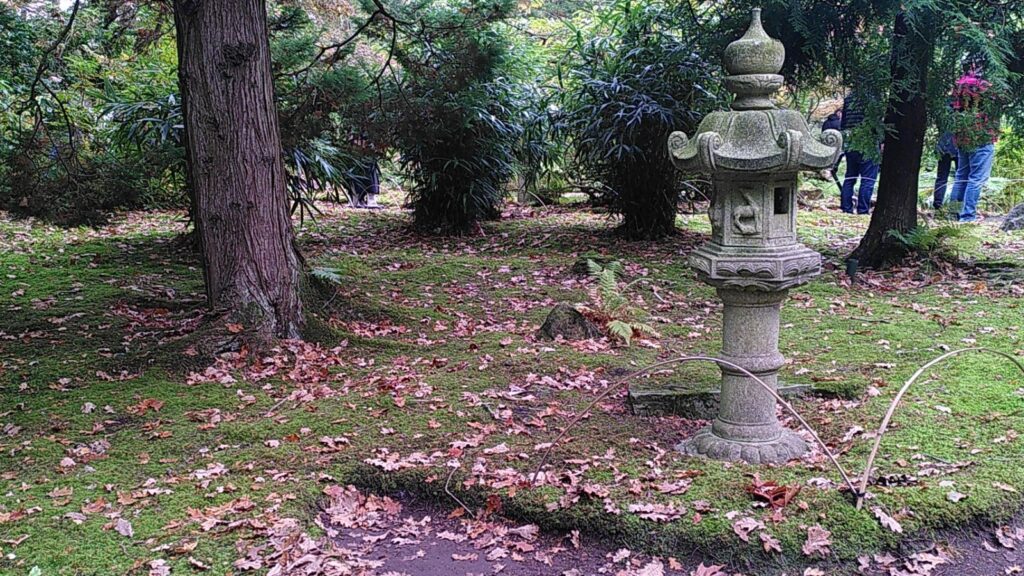 Lees meer over het artikel De Japanse Tuin van Clingendael