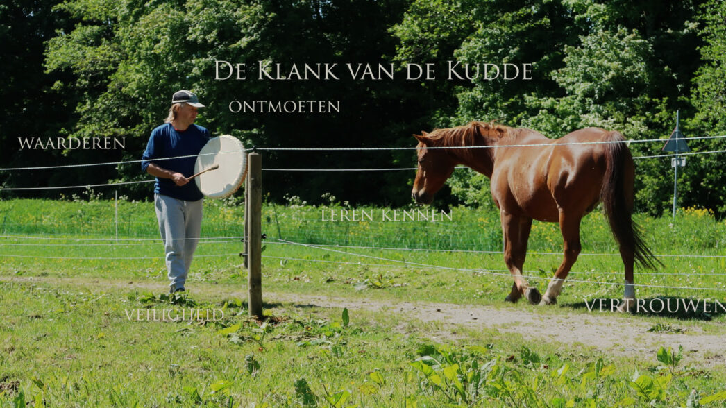 De klant kan de kudde. Ontmoeten, Leren kennen, Waarderen, Vertrouwen, Veiligheid.