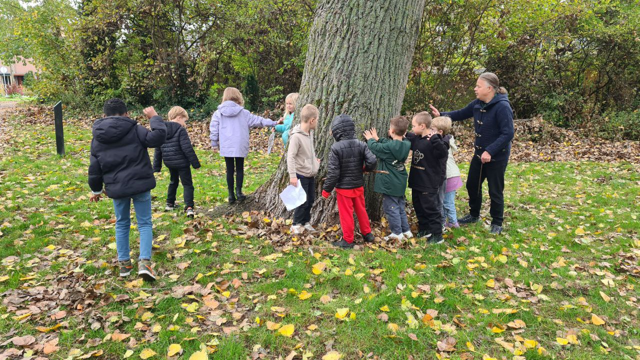 De bomenmeester met schoolkinderen rond een boom