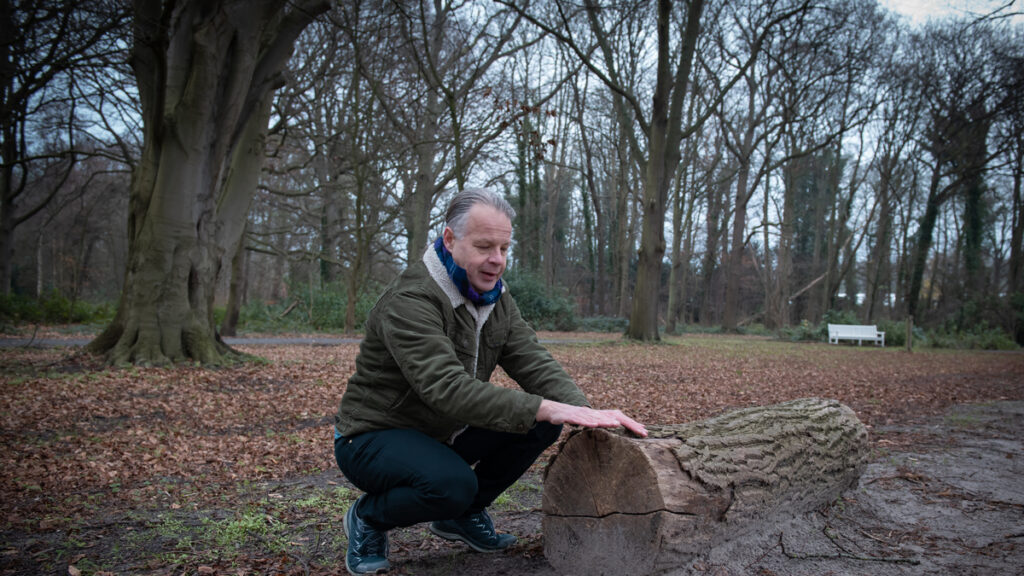 Lees meer over het artikel Persfoto’s